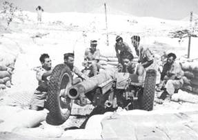 75-мм противотанковое орудие. Rosso A. Les tankistes de la division Ariete a Bir Hakeim. Les combats du 27 mai 1942. // Batailles & Blindés N°29 2009 - Ливийское фиаско итальянцев | Warspot.ru